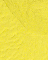Paintin' on Sunshine! (S079)