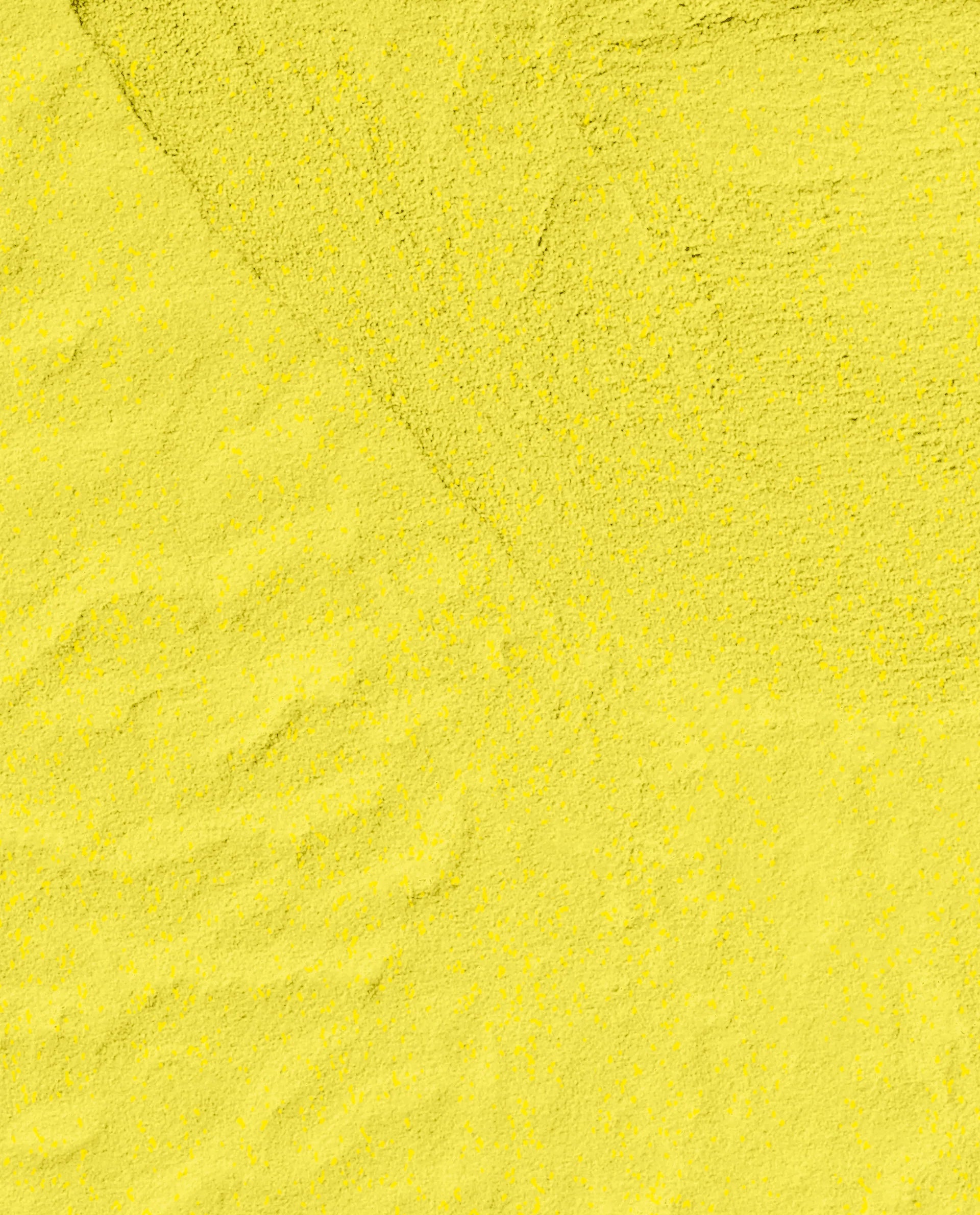 Paintin' on Sunshine! (S079)
