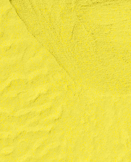 Paintin' on Sunshine! (S079)