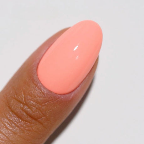DIVA #144 Zesty Sunrise