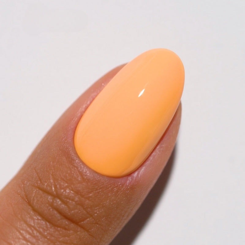DIVA #205 Papaya Pop