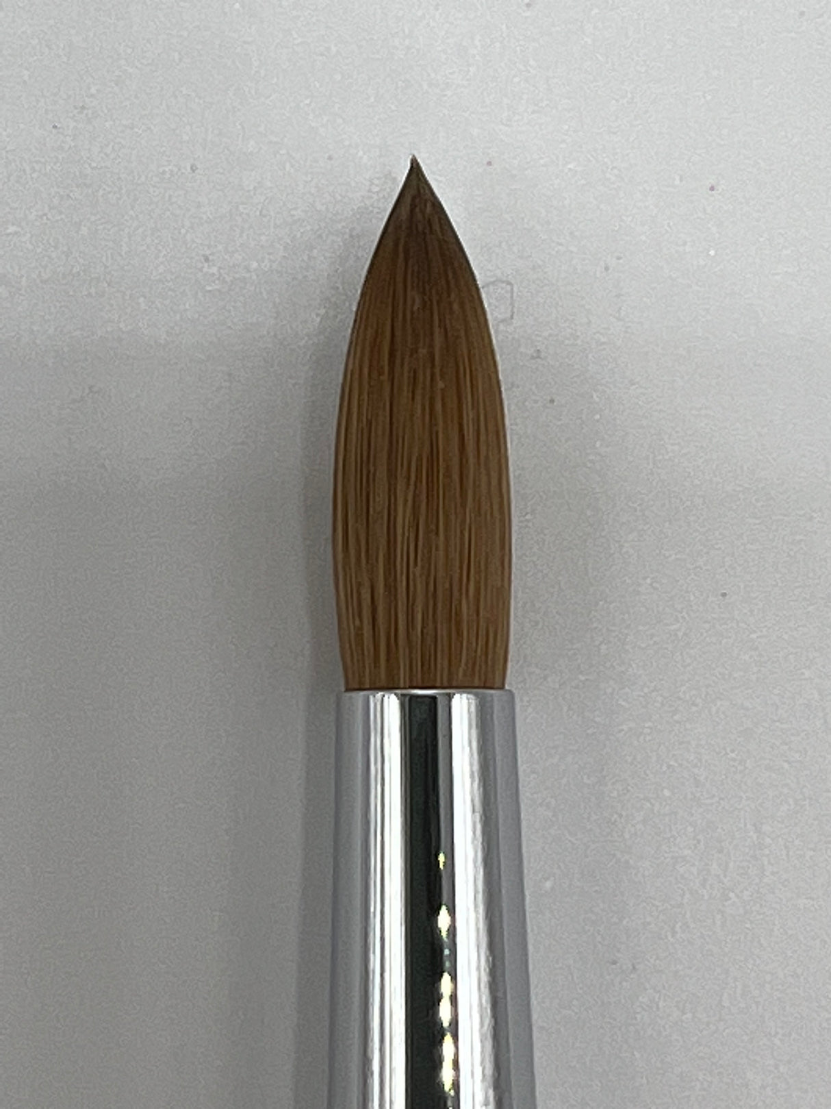 Sonic Kolinsky 16