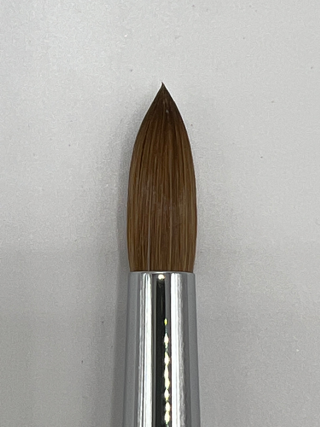 Germany Kolinsky 4