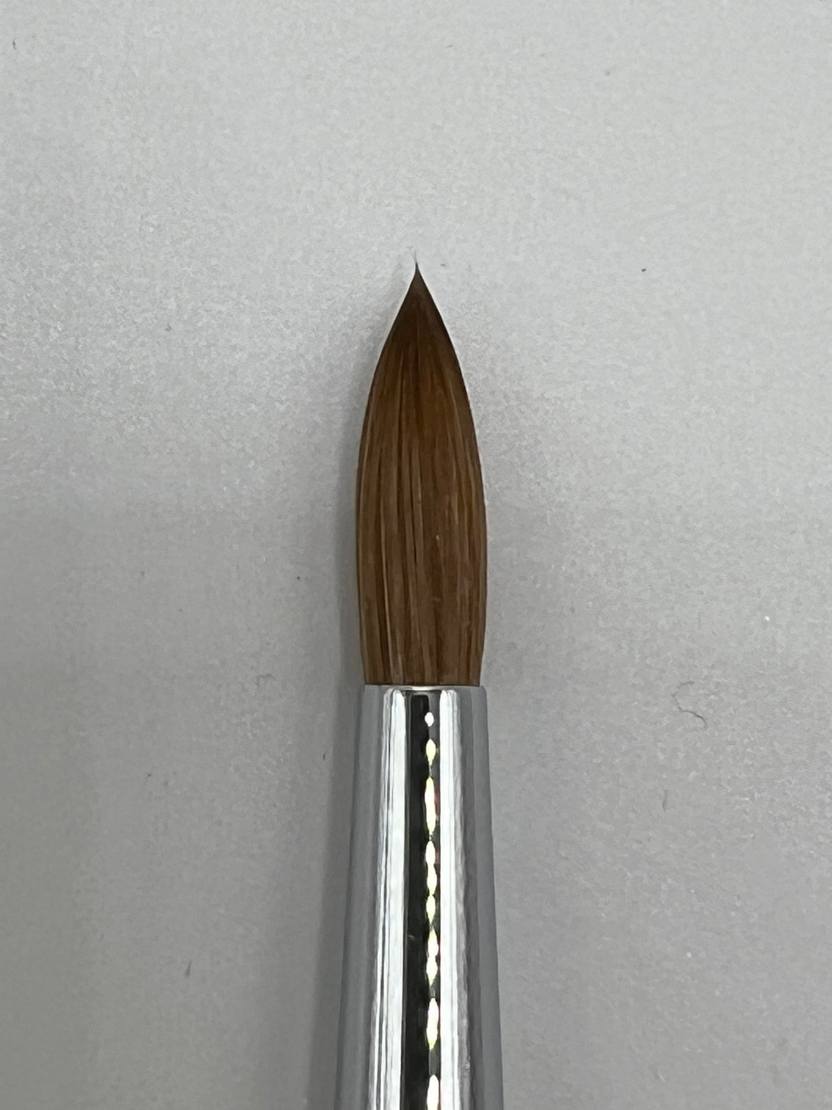 Germany Kolinsky 6
