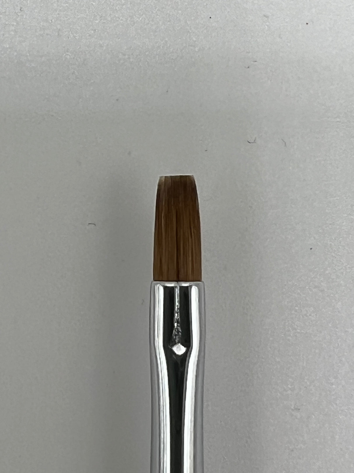 Sophia Art Brush 3