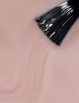 Bare My Soul (SH4)