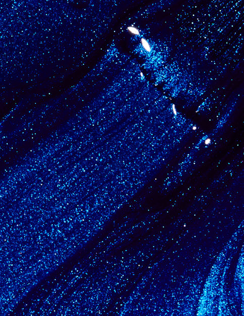 Blue My Mind (B24)