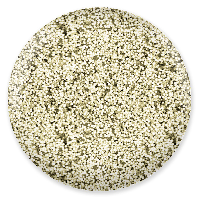 #423 Glitter For You