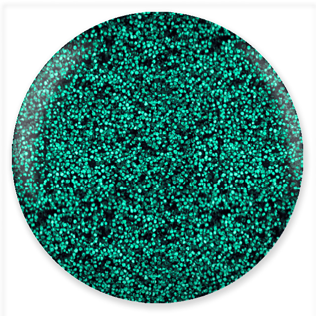 #582 Emerald Quartz