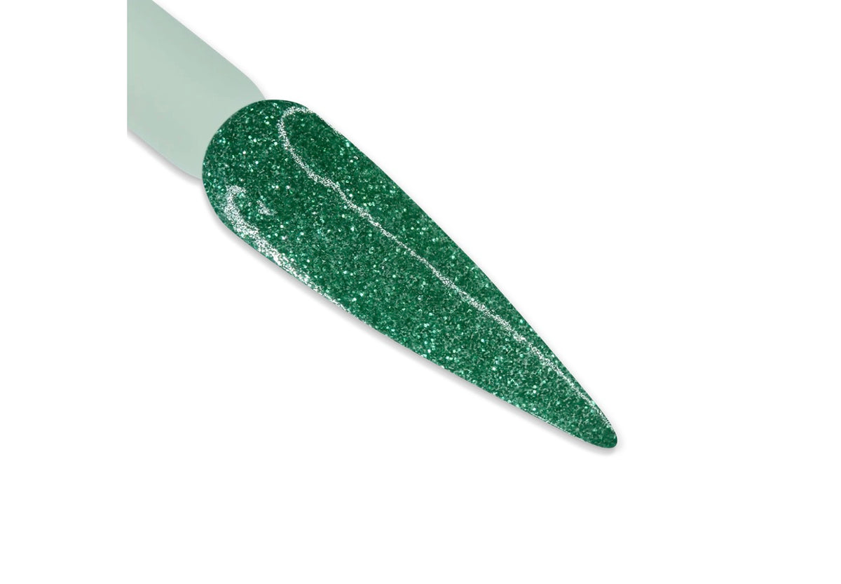 DD158 Misletoe