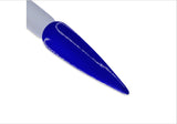 DD219 I Got The Blues
