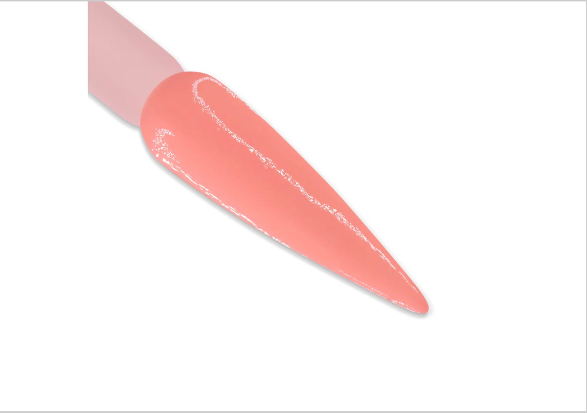 DD185 Nectarine